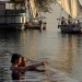 llo res Sun Set Infinity Pool Libra holidays
